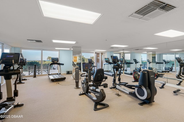 workout area with a wall of windows and carpet floors