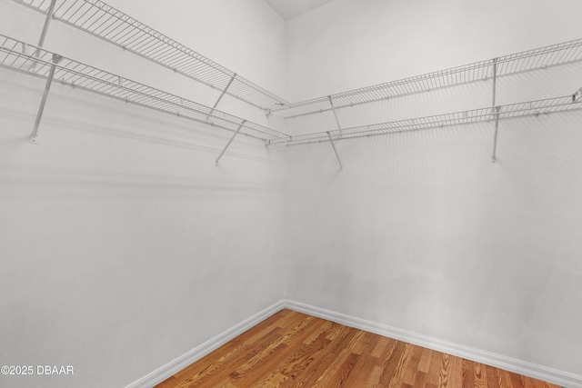 spacious closet with hardwood / wood-style flooring