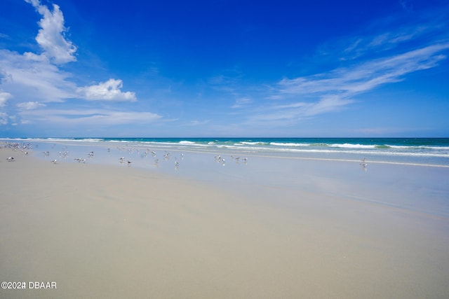 property view of water featuring a beach view