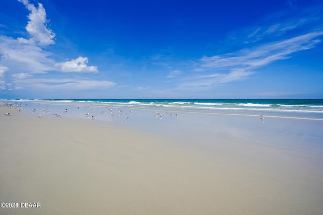4727 Riverglen Blvd, Ponce Inlet, FL 32127 - water view with nearby beach
