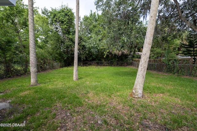 619 Aberdeen St, Daytona Beach, FL 32114 - view of yard