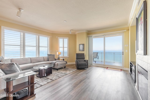 living room featuring a textured ceiling, light wood-type flooring, plenty of natural light, and a water view