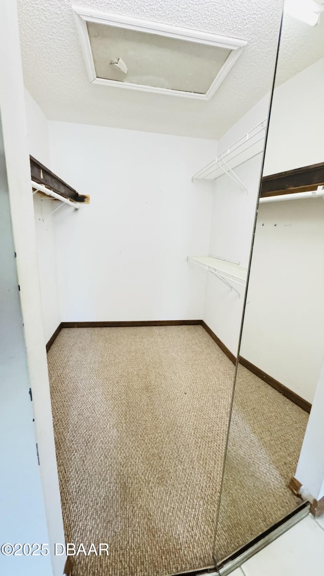 93 Hay Bale Trl, Ormond Beach, FL 32174 - spacious closet featuring carpet floors and attic access