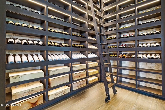 wine room with hardwood / wood-style flooring