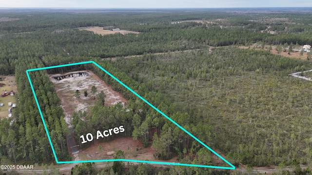 810 Wild Curr Rd, Pierson, FL 32180