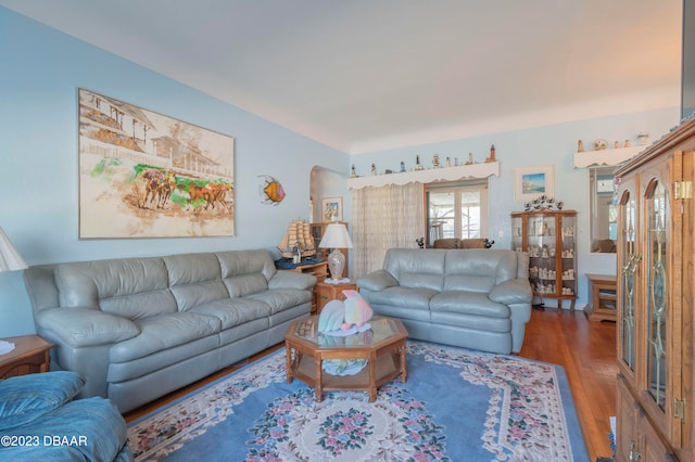 living room featuring hardwood / wood-style flooring