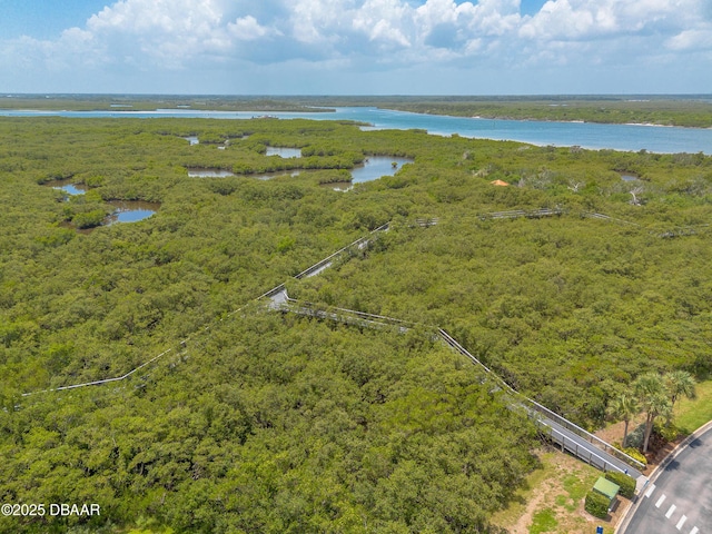 4624 Harbour Village Blvd Unit 4407, Ponce Inlet, FL 32127 - photo 43