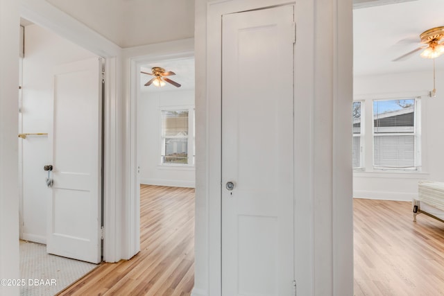 hall featuring light hardwood / wood-style floors