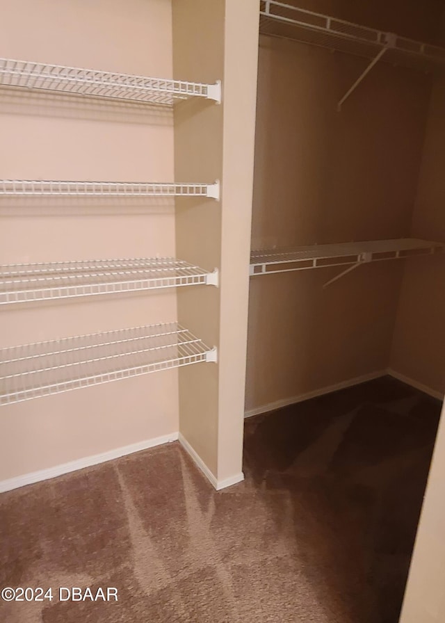 walk in closet featuring carpet floors