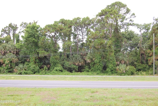 0 US Highway 1, Oak Hill, FL 32759 - photo 5