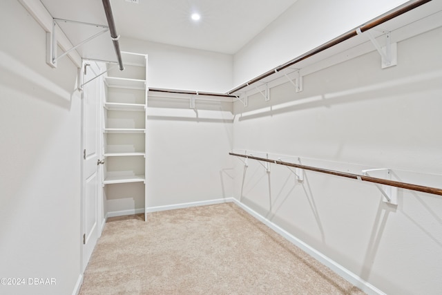 spacious closet featuring light colored carpet