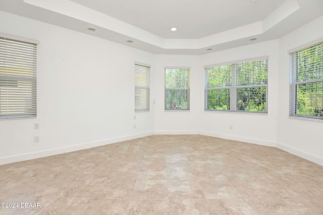 spare room featuring a raised ceiling and plenty of natural light