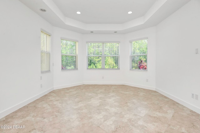 empty room featuring a raised ceiling and a healthy amount of sunlight