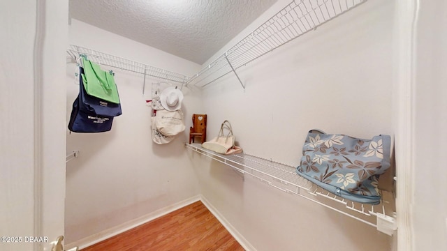 spacious closet with light wood-style floors