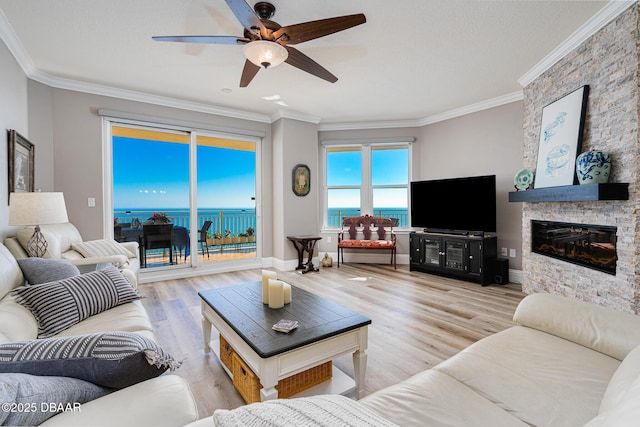 living room featuring crown molding, ceiling fan, and light hardwood / wood-style flooring