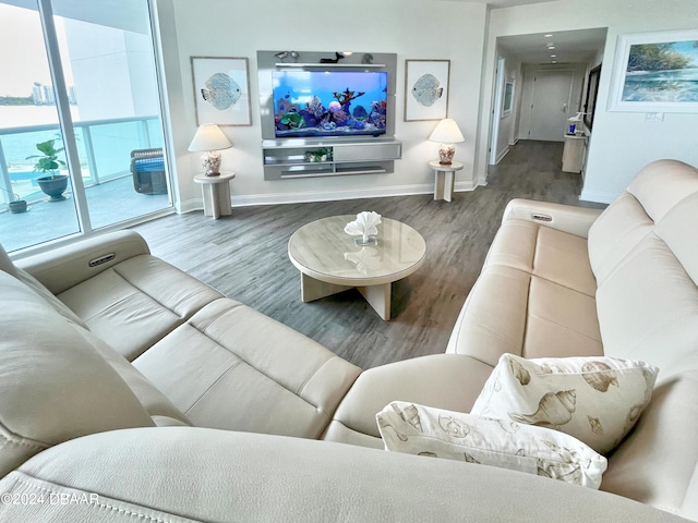 living room featuring wood-type flooring