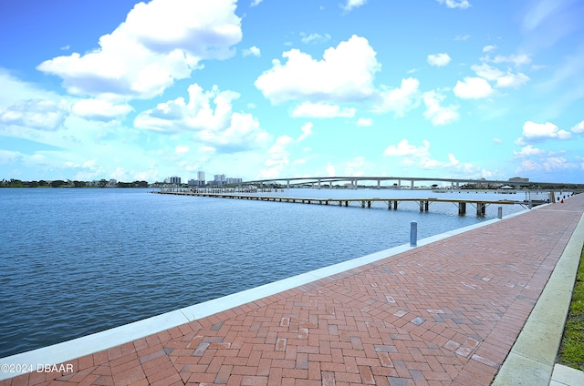 dock area with a water view