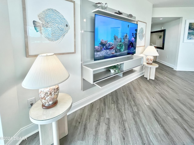 living room featuring hardwood / wood-style floors