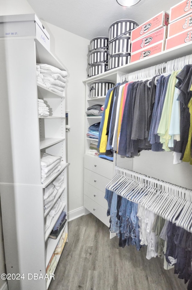 spacious closet featuring hardwood / wood-style floors