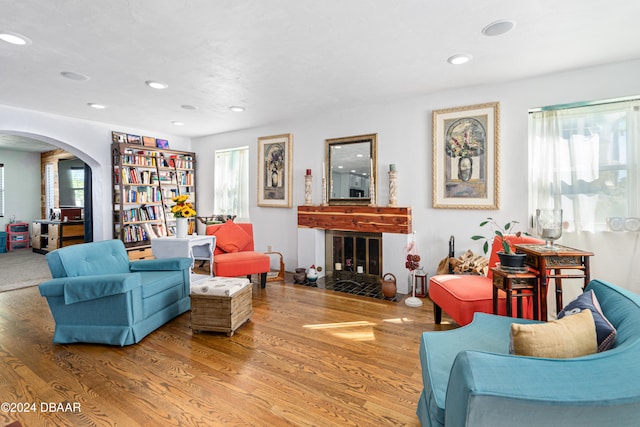 living room with a healthy amount of sunlight and hardwood / wood-style flooring