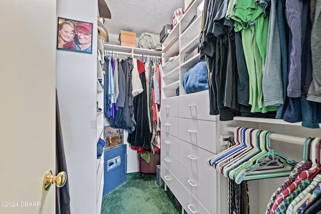 spacious closet with dark carpet