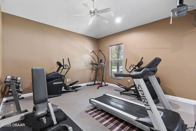 4600 E Moody Blvd Unit 14-O, Bunnell, FL 32110 - exercise room with a ceiling fan and carpet flooring