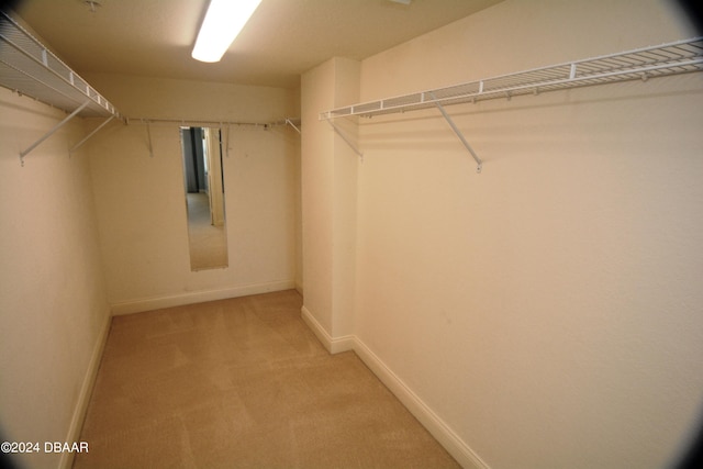 3145 S Atlantic Ave Unit 401, Daytona Beach, FL 32118 - walk in closet with carpet floors