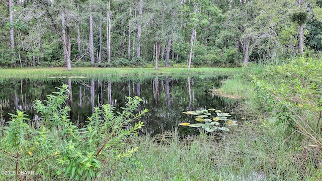 103 Cone Rd, Ormond Beach, FL 32174 - view of nature with a nearby body of water