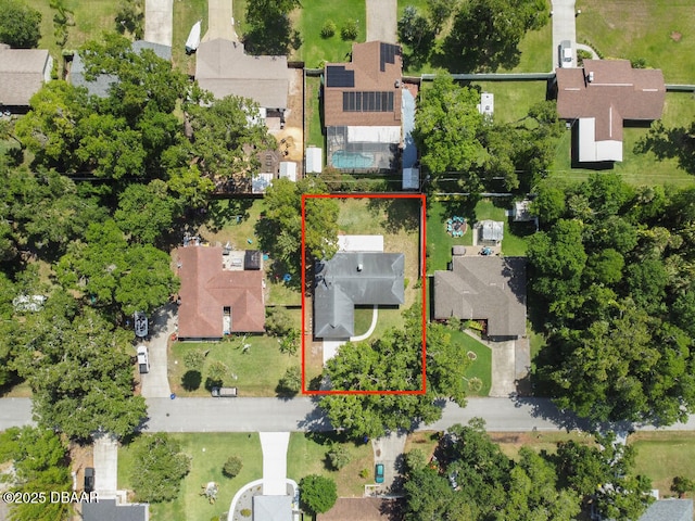 2421 Needle Palm Dr, Edgewater, FL 32141 - aerial perspective of suburban area featuring property boundaries highlighted