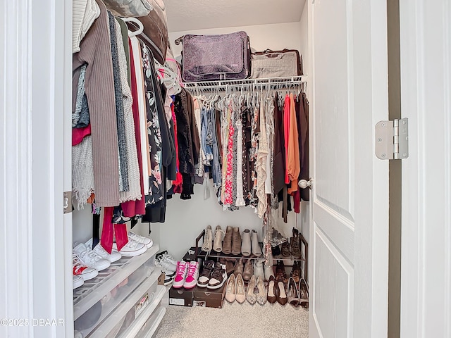 spacious closet featuring carpet floors