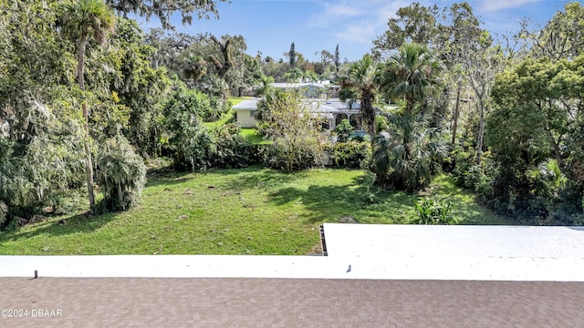 905 Valencia Rd, South Daytona, FL 32119 - photo 14