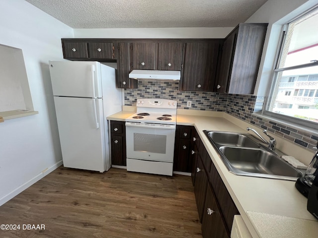 kitchen with tasteful backsplash, a healthy amount of sunlight, white appliances, and dark hardwood / wood-style floors