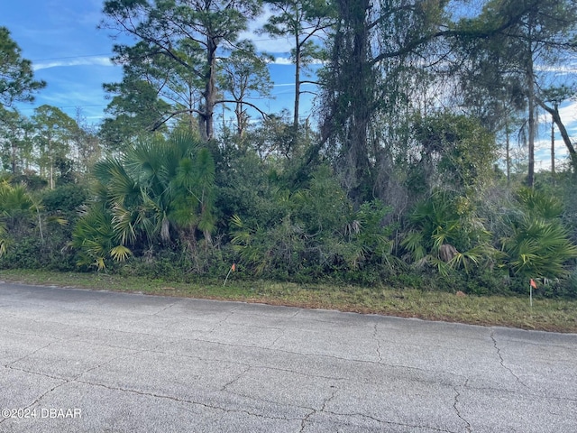 0 Tatum Blvd, New Smyrna Beach FL, 32168 land for sale