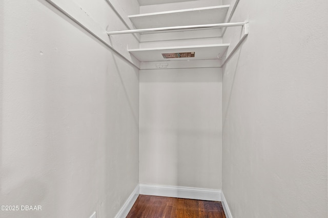 spacious closet featuring dark wood-type flooring