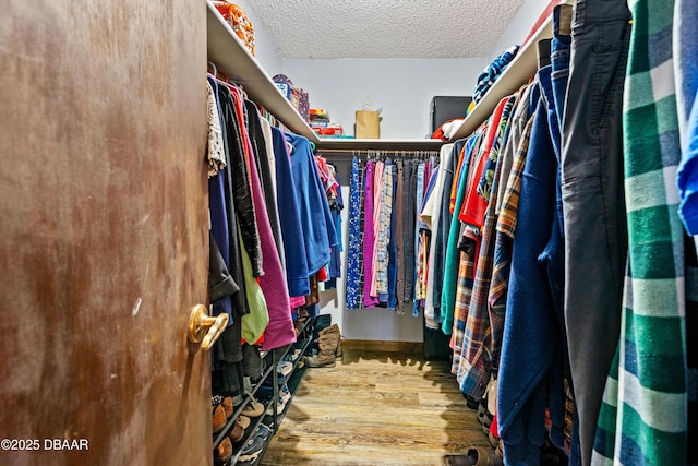 spacious closet with hardwood / wood-style floors