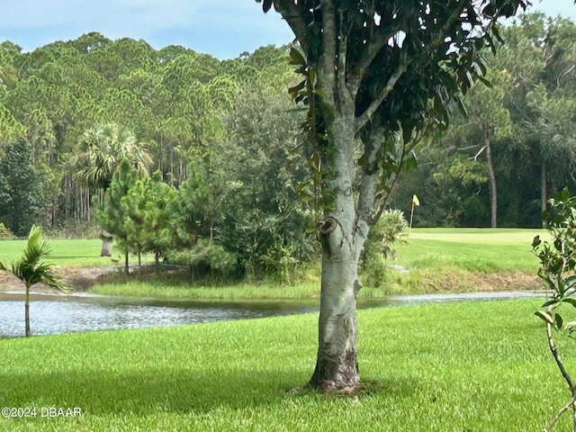 view of property's community with a water view and a yard