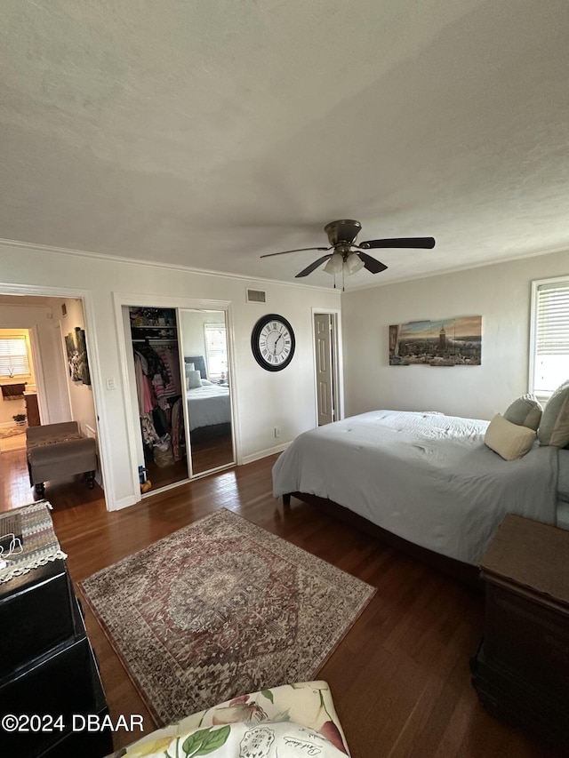 bedroom featuring ceiling fan, a closet, and dark hardwood / wood-style floors