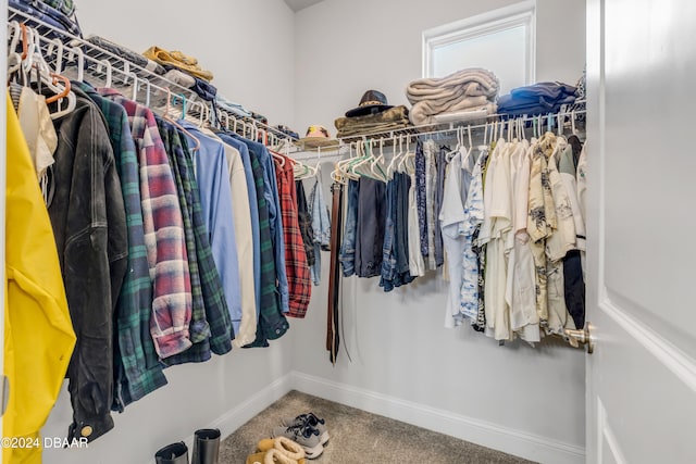 walk in closet with carpet flooring