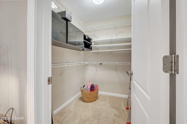 spacious closet with carpet flooring