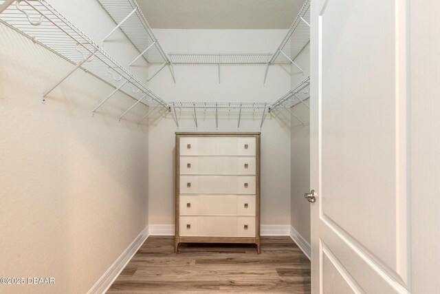 walk in closet featuring wood finished floors