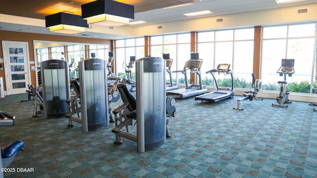 exercise room with a wealth of natural light and carpet