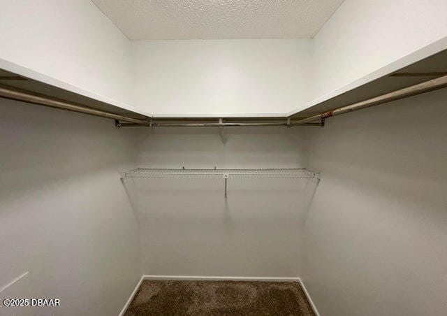 spacious closet featuring carpet flooring