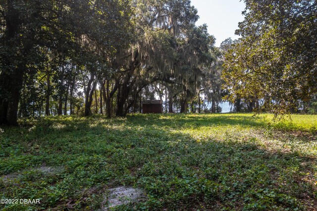 252 St Johns Dr, Palatka, FL 32177 - photo 10