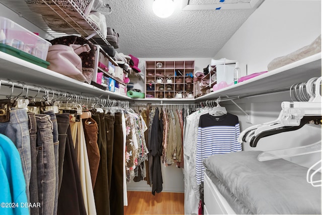 spacious closet featuring hardwood / wood-style floors