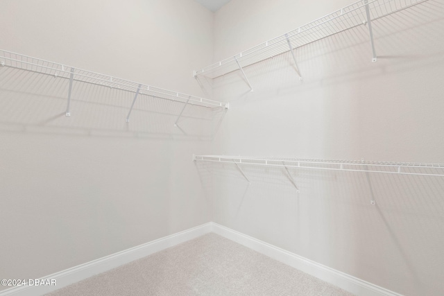 walk in closet featuring carpet flooring