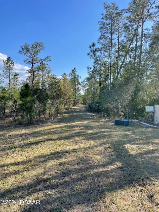 4685 Magnolia Rd, New Smyrna Beach FL, 32168 land for sale