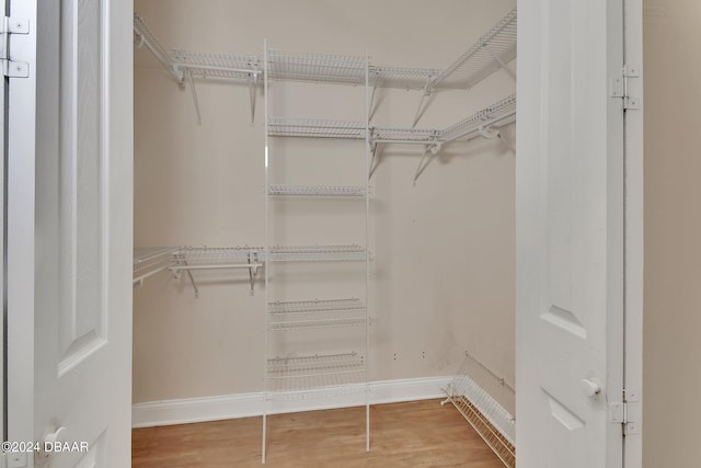 walk in closet featuring wood-type flooring