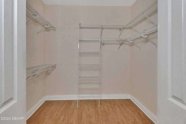 spacious closet with wood-type flooring