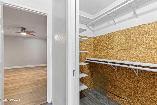 spacious closet featuring wood finished floors and ceiling fan
