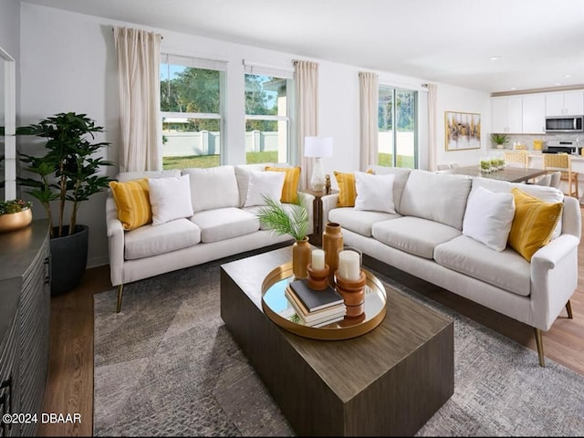 living room featuring dark hardwood / wood-style flooring